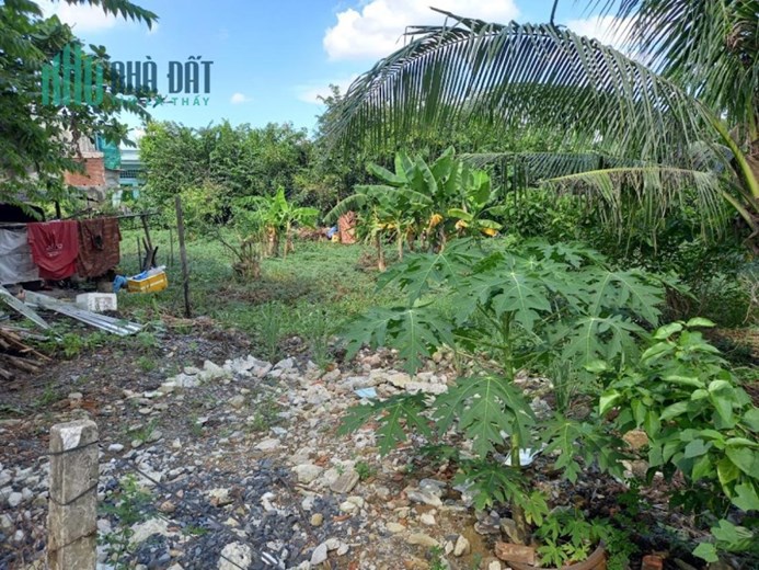 Bán đất Vườn lài PHƯỜNG AN PHÚ ĐÔNG quận 12, nở hậu, Đ. 4m, giá chỉ 1x tỷ