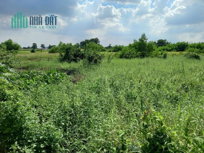 Bán đất Vườn Lài P.APĐ quận 12, nở hậu, đường 6m, giá chỉ 9x tỷ