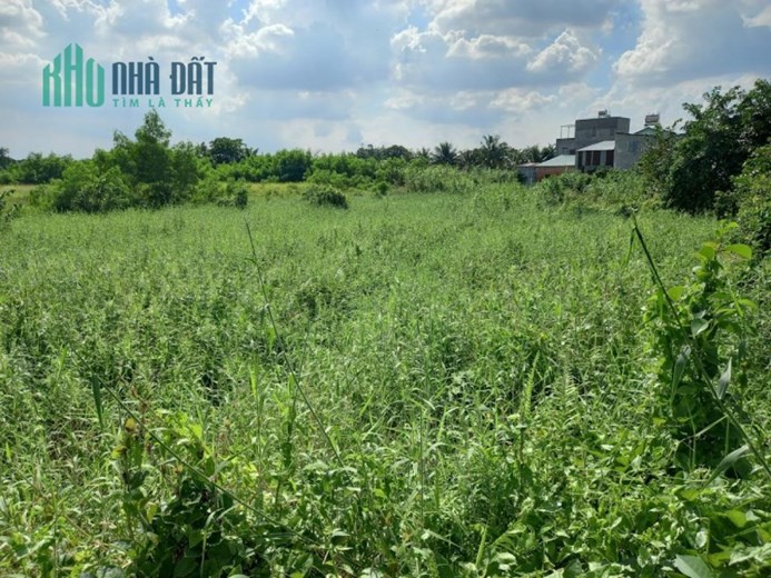 Bán đất Vườn Lài P.APĐ quận 12, nở hậu, đường 6m, giá chỉ 9x tỷ