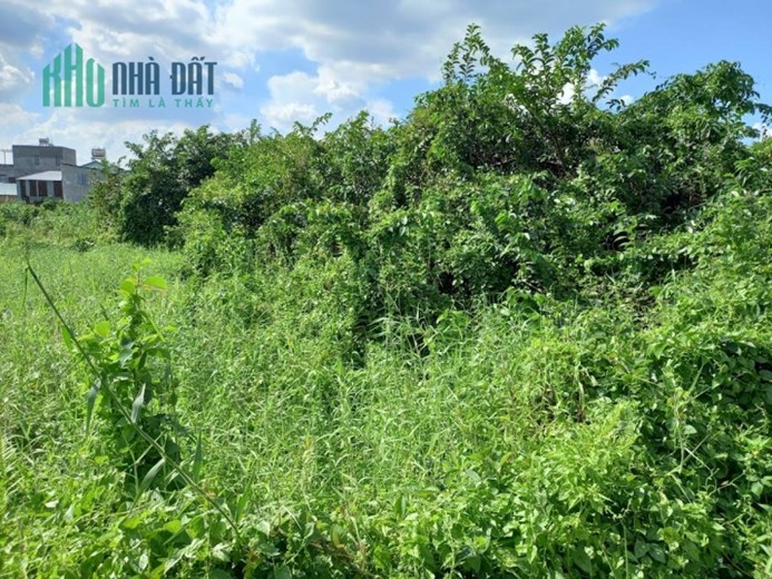 Bán đất Vườn Lài P.APĐ quận 12, nở hậu, đường 6m, giá chỉ 9x tỷ