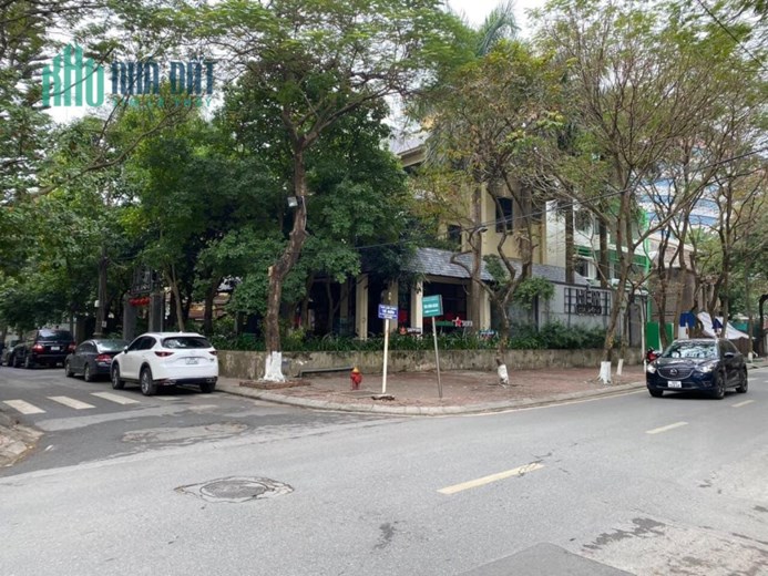 Ban Biet thu quan  cau giáy dt 700m
