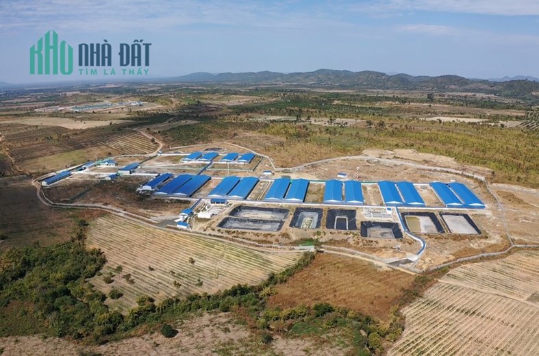 Bán Trang trại heo 22.2 Ha - Buôn Đôn - Đăk Lăk. Quy mô 14.000 heo thịt, Đang cho thuê 740