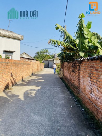 Cân bán 919m Xuân Đồng Tân Minh, Sóc Sơn, Hà Nội thích hợp làm nhà xưởng, xây nhà vườn, phân lô