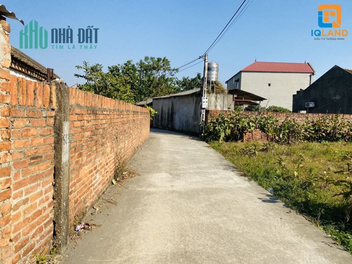 Cân bán 919m Xuân Đồng Tân Minh, Sóc Sơn, Hà Nội thích hợp làm nhà xưởng, xây nhà vườn, phân lô
