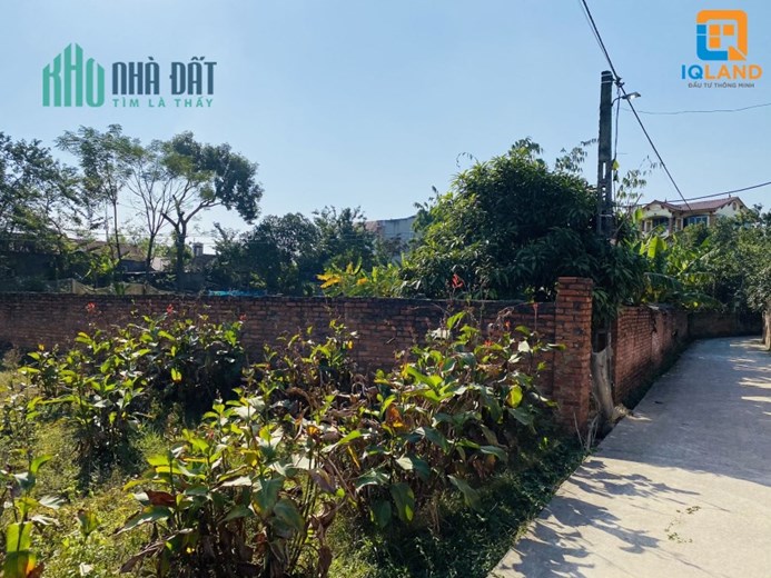 Cân bán 919m Xuân Đồng Tân Minh, Sóc Sơn, Hà Nội thích hợp làm nhà xưởng, xây nhà vườn, phân lô