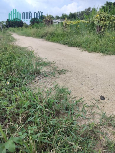 Chủ cần bán 4 lô đất thuộc Thị Trấn Ma Lâm, Huyện Hàm Thuận Bắc, Bình Thuận.