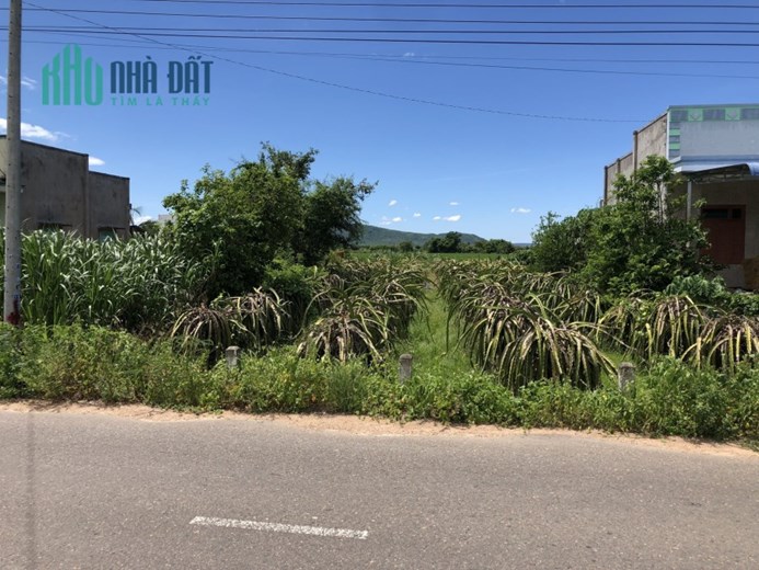 Chủ cần bán 4 lô đất thuộc Thị Trấn Ma Lâm, Huyện Hàm Thuận Bắc, Bình Thuận.
