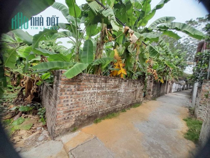 Bán Đất Xã Hồng Hà - Đan Phượng 100m2 mặt tiền 6,78m nở hậu đẹp, sau quy hoạch giá trị tăng gấp