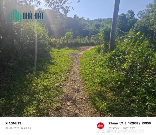 Bán 2 lô đất liền kề vị trí đẹp tại thị trấn Mãn Đức, sẵn sổ, chỉ 195tr 1 lô. Lh0356831386