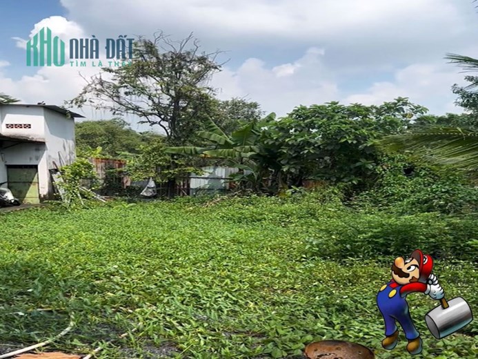 LÔ ĐẤT ĐẸP FULL THỔ - HXT AN PHÚ ĐÔNG QUẬN 12 - NGANG GẦN 8M, 160M2, CÔNG NHẬN ĐỦ, KHÔNG LỘ GIỚI.