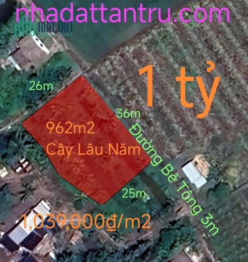 Bán lô đất cây lâu năm Tân Tru đường đan 3m giá 1 tỷ