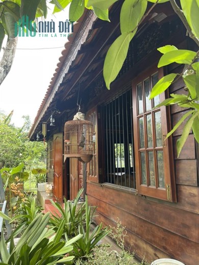 Bán nhà Tỉnh Lộ 7 An Nhơn Tây CỦ CHI, 2 nhà gỗ, 1257m2, giá chỉ 1x tỷ