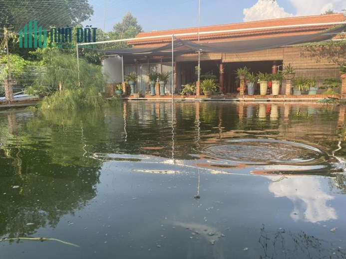 Bán nhà Tỉnh Lộ 7 An Nhơn Tây CỦ CHI, 2 nhà gỗ, 1257m2, giá chỉ 1x tỷ