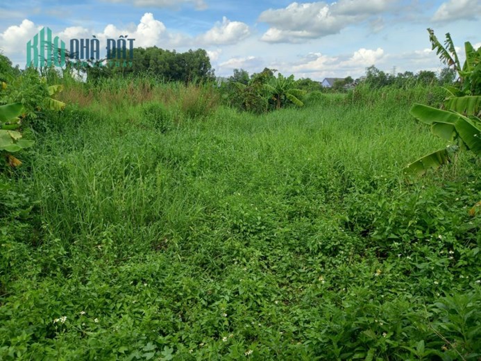 Bán nhà xưởng MT Bến Than CỦ CHI, 9310m2, Đ. 8m, giá chỉ 6x tỷ