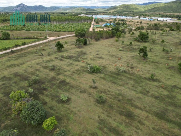 Đất QL22 Tân Hiệp Hóc Môn Giá Cho Nhà Đầu Tu Gần 1,3ha Chỉ 53 Tỷ