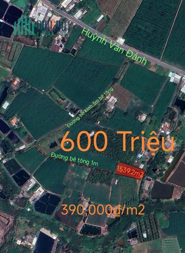 Bán gấp lô đất lúa rẻ nhất khu vực gần Quốc Lộ 50B giá 600 triệu