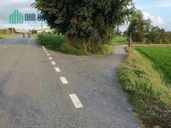 Bán gấp lô đất lúa rẻ nhất khu vực gần Quốc Lộ 50B giá 600 triệu