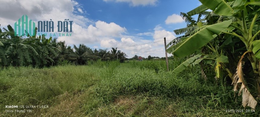 Bán gấp lô đất lúa rẻ nhất khu vực gần Quốc Lộ 50B giá 600 triệu