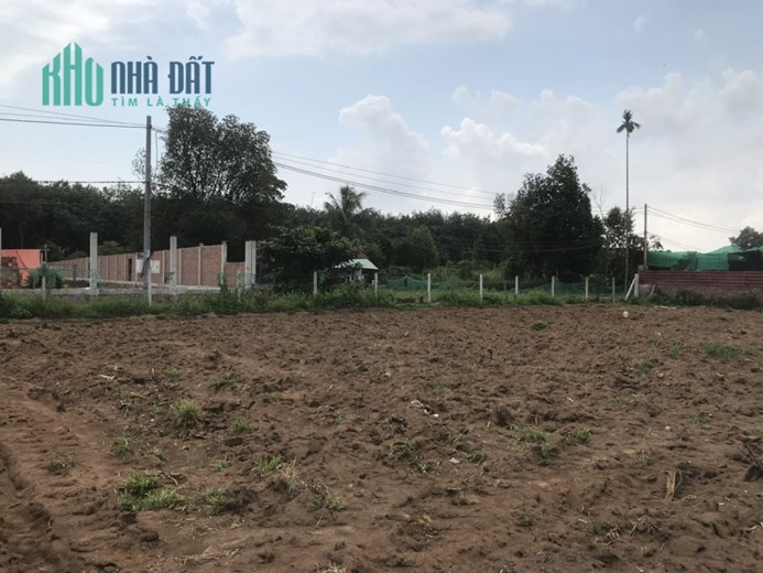 Bán đất xã Bình An Long Thành 12,650m2 giá 4,95tr/m2