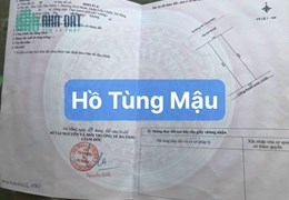 🔴💥Bán đất đường Hồ Tùng Mậu, Hòa Minh, Liên Chiểu, Đà Nẵng