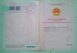 Bán 2035,2m2 đất TCLN tại Bình Phước SHR 1.2 tỷ. Lh:0836428468