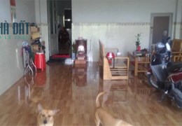 Cần bán gấp nhà  Khu Amazing, Tân Nhựt, Bình Chánh