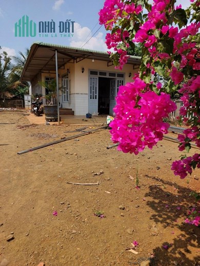 CHÍNH CHỦ Cần Bán  Nhanh Căn Nhà  Vị Trí Đẹp Tại Xã Đắk Gằn, Huyện Dăk Mil, Tỉnh Đắk Nông