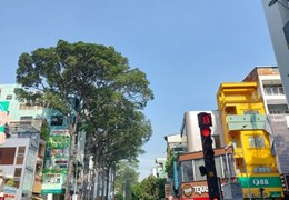 Quận 3, CAO THẮNG, HXT 6m, Ngang khủng 8m, dòng tiền 12 triệu/tháng, hoàn công đủ, sổ tại gia