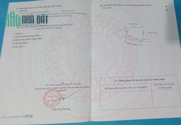 Chính chủ cần  bán gấp lô đất ở  thôn Cách Thương, xã Nam Sơn, huyện An Dương, thành phố Hải Phòng