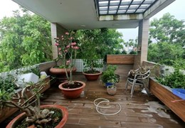 Bán nhà MT Phạm Thế Hiển - 4.5x28- 4 tầng - Đẹp Lung Linh - Kinh Doanh Đỉnh