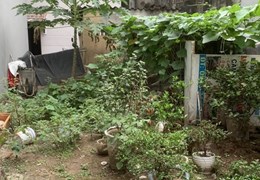 BÁN ĐẤT CẦU CỐC VUÔNG VỨC MT RỘNG GIÁ RẺ VỊ TRÍ ĐẸP Ở ĐẦU TƯ NHỈNH 4TỶ