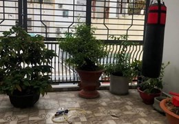 QUẬN 3- CƯ XÁ ĐÔ THÀNH- XE HƠI VÀO NHÀ- NGANG 6M-NHỈNH 18 TỶ