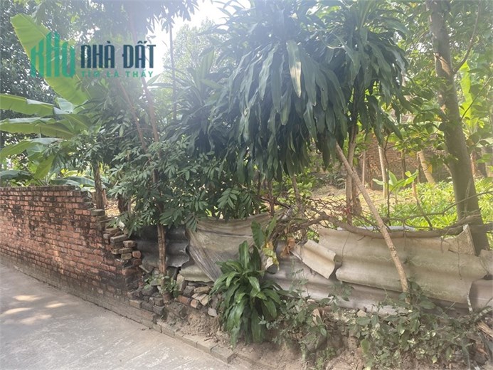 Chính chủ cần bán 85m² tại Đan Tảo - Tân Minh - Sóc Sơn - HN. Giá chỉ 9. Xtr/m². Ô tô vào đất