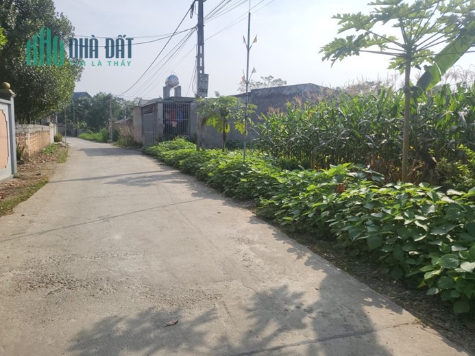Mua 150m sổ đỏ tặng thêm 80m - 02 mặt đường - mặt tiền 10m - đường liên xã
 
- Em có lô đất 150m,