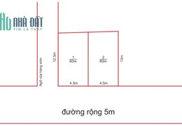 Ngày tốt Em Ra siêu phẩm Tuy Lai mỹ đức Hà Nội. Với dt mỗi lô 60m .mt.mh 4,5m . Giá chỉ có mấy trăm