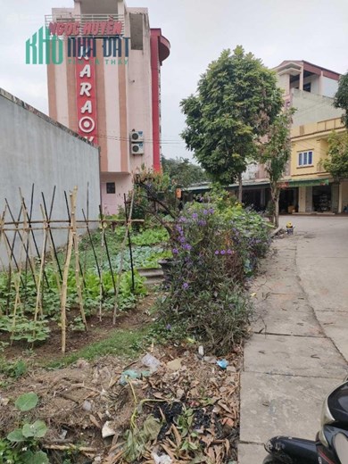 Cần bán lô đất 85m2, mặt tiền 5m tại Minh Phương, Việt Trì, Phú Thọ, 0394 827 798