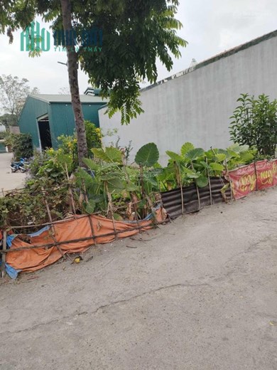 Cần bán lô đất 85m2, mặt tiền 5m tại Minh Phương, Việt Trì, Phú Thọ, 0394 827 798