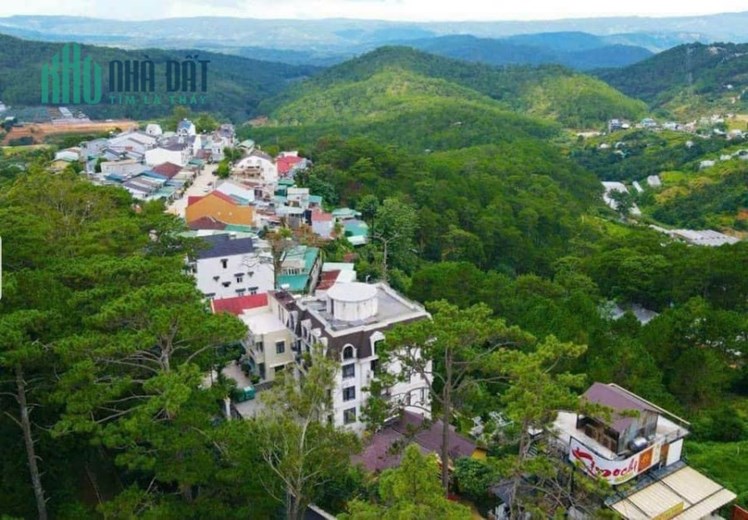 Bán khách sạn mặt tiền Trần Quang Diệu Đà Lạt view rừng thông