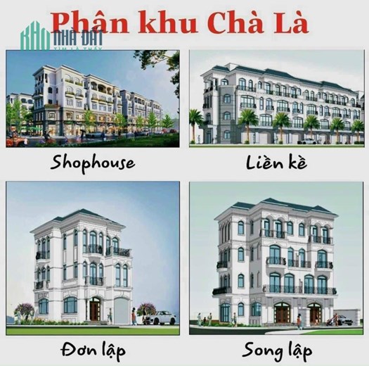 Nhu cầu cần mua biệt thự diện tích từ 120m2, 127m2, 168m2, 180m2, 241m2, 465m2 vinhomes ocean park