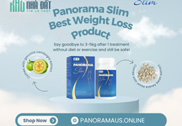 STANDARD SEO ARTICLE: PANORAMA SLIM WEIGHT LOSS SUPPORT PILLS