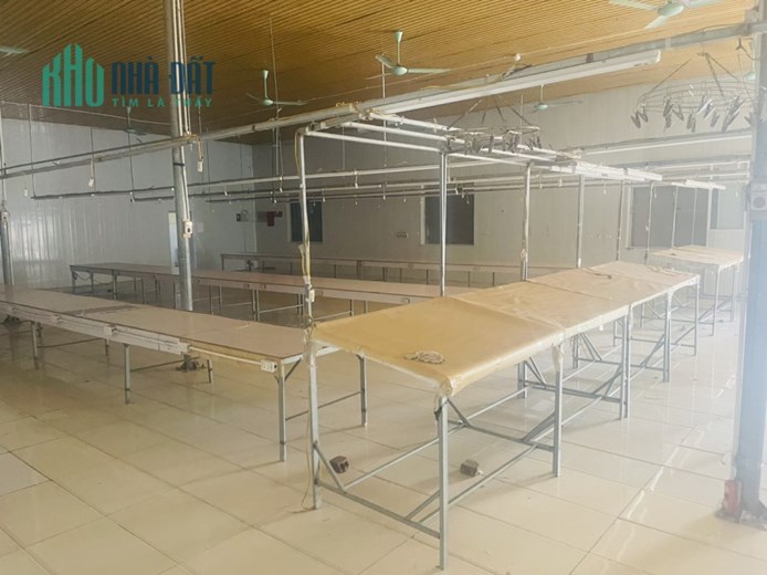 Cho thuê xưởng cụm CN Hợp Thịnh, Tam Dương, Vĩnh Phúc