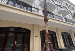 Gia đình nhu cầu cần mua liền kề từ 48m2, 55m2, 56m2 vinhomes ocean park 2 hưng yên