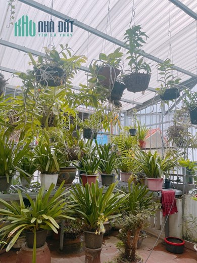 NHÀ ĐẸP Ở NGAY - GẦN MẶT PHỐ KHƯƠNG ĐÌNH - THANH XUÂN - 65m2 - SÁT BÃI ÔTÔ - GIÁ HỢP LÝ