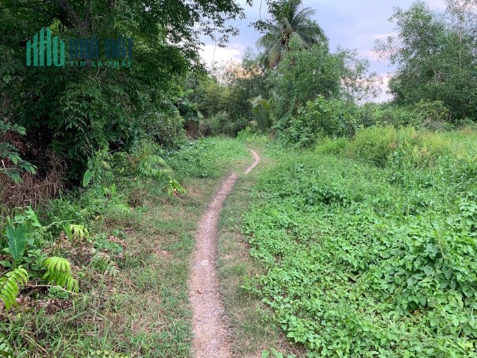 CHÍNH CHỦ BÁN 2 LÔ ĐẤT LIỀN KỀ FULL THỔ CƯ DUY NHẤT TẠI LƯƠNG HÒA-BẾN LỨC