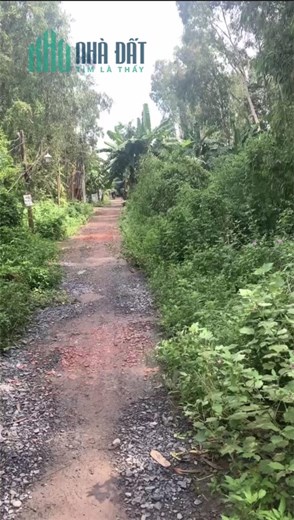 ĐẤT ĐẸP - GIÁ TỐT - CẦN BÁN GẤP Lô Đất Tại Huyện Bình Chánh, HCM
