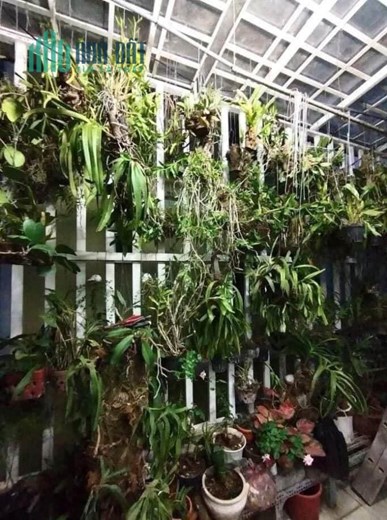 Bán nhà HXH Tỉnh lộ 43, Bình Chiểu Thủ Đức, 254m2, giá chỉ 10.5 tỷ.