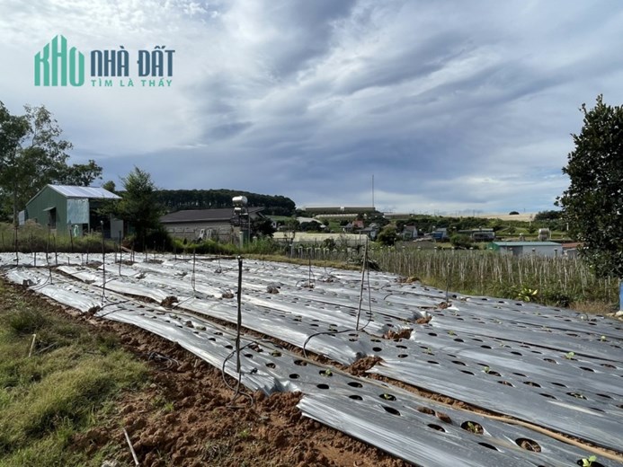 Bán Đất Đẹp Tại Xã Đạ ròn, Huyện Đơn Dương