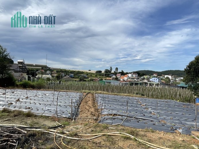 Bán Đất Đẹp Tại Xã Đạ ròn, Huyện Đơn Dương