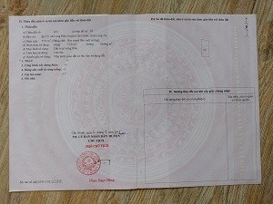 Chính chủ cần bán 596m2 đất 2 mặt tiền,vị trí đẹp, FULL thổ cư huyện Cần Giuộc, Long An
