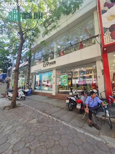 Nhà mặt phố Cầu Giấy, quận Cầu Giấy, DT siêu rộng 280m2, giá chỉ 87 tỷ